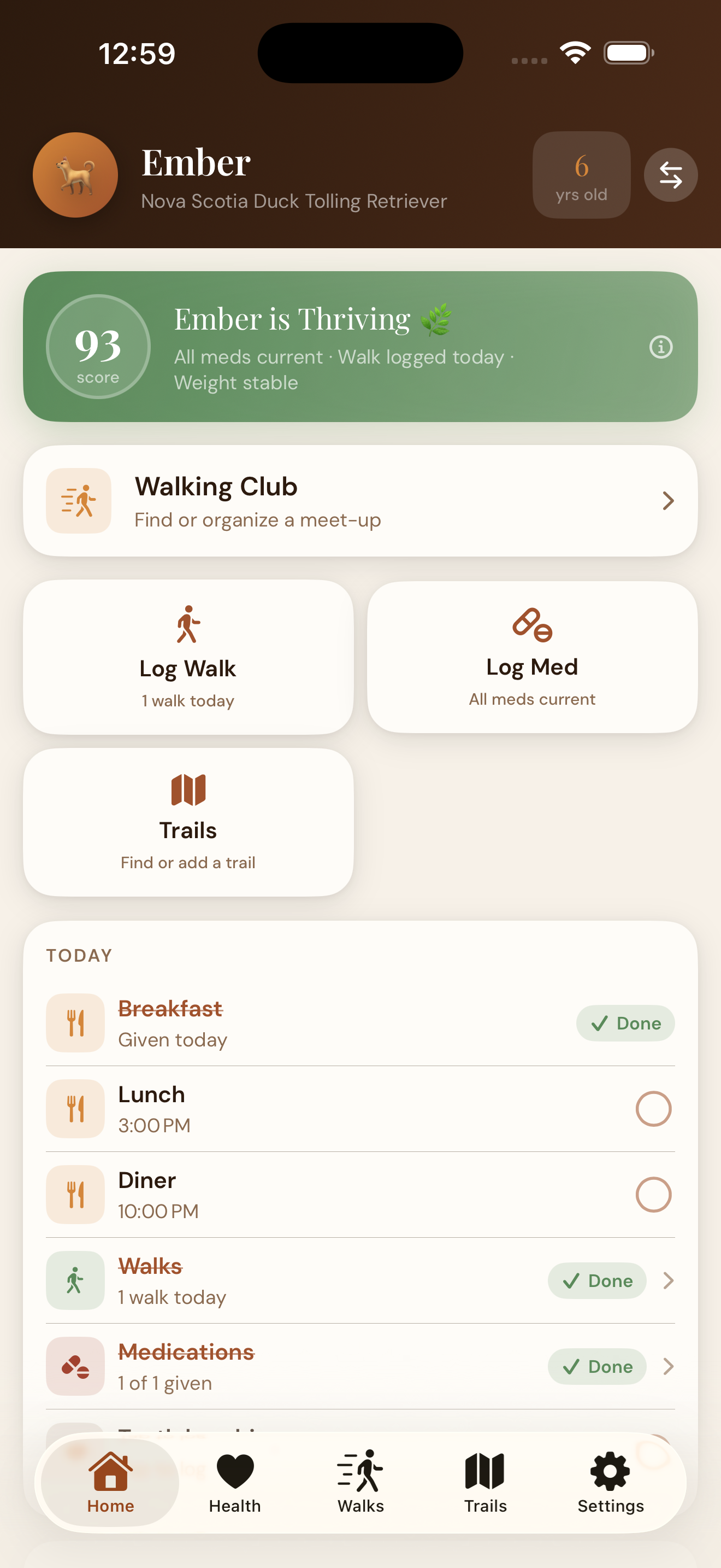EmberPaws Dashboard for Ember the Nova Scotia Duck Tolling Retriever — showing Ember Score 93 (Thriving) with the summary 'All meds current · Walk logged today · Weight stable', a Walking Club card, Quick Actions for Log Walk, Log Med, and Trails, and a Today checklist showing breakfast, lunch, dinner, walks, and medications